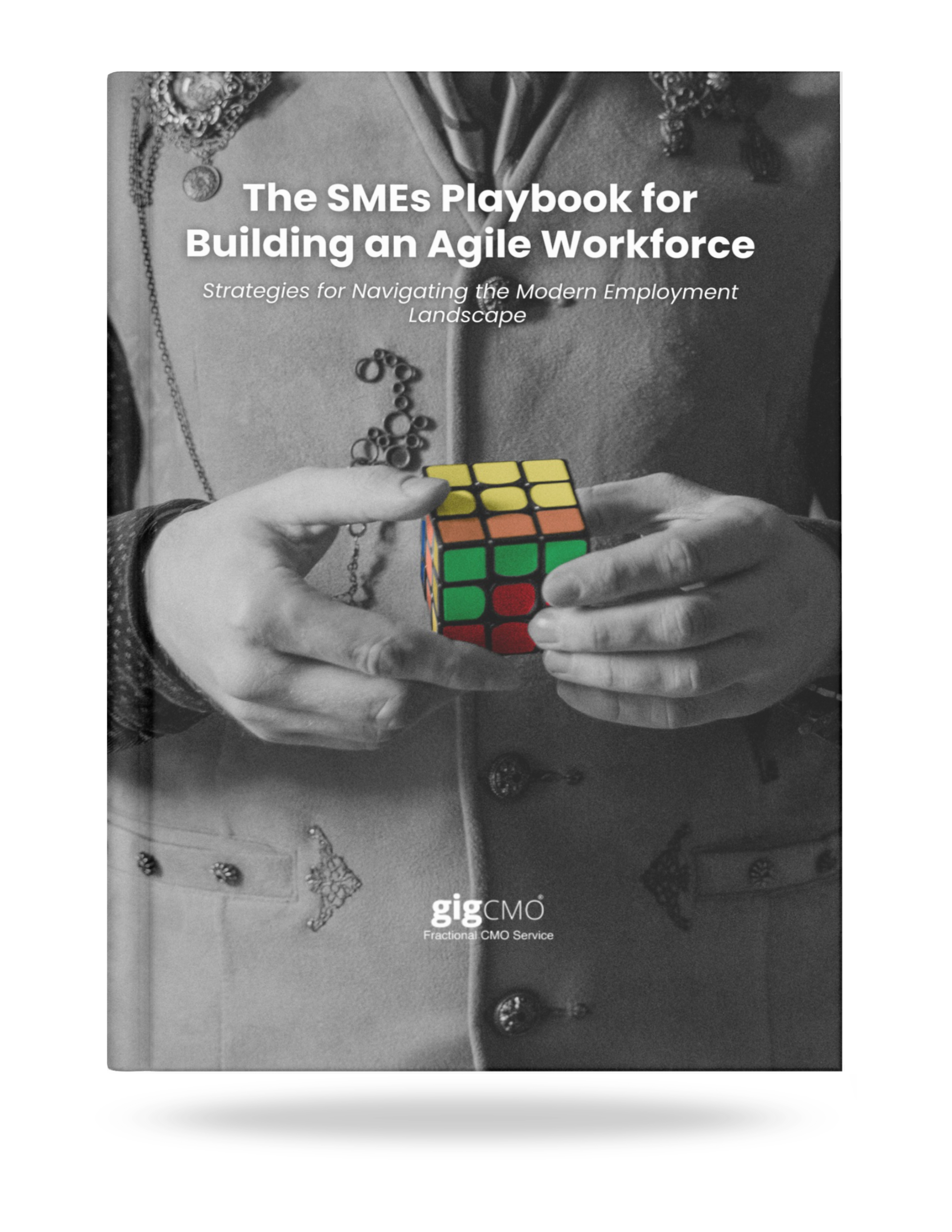 SME Lead Magnet - The SMEs Playbook for Building an Agile Workforce Mockup