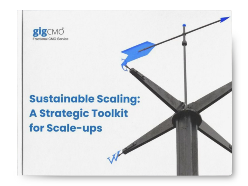 Sustainable Scaling A Strategic Toolkit for Scale-ups Cover