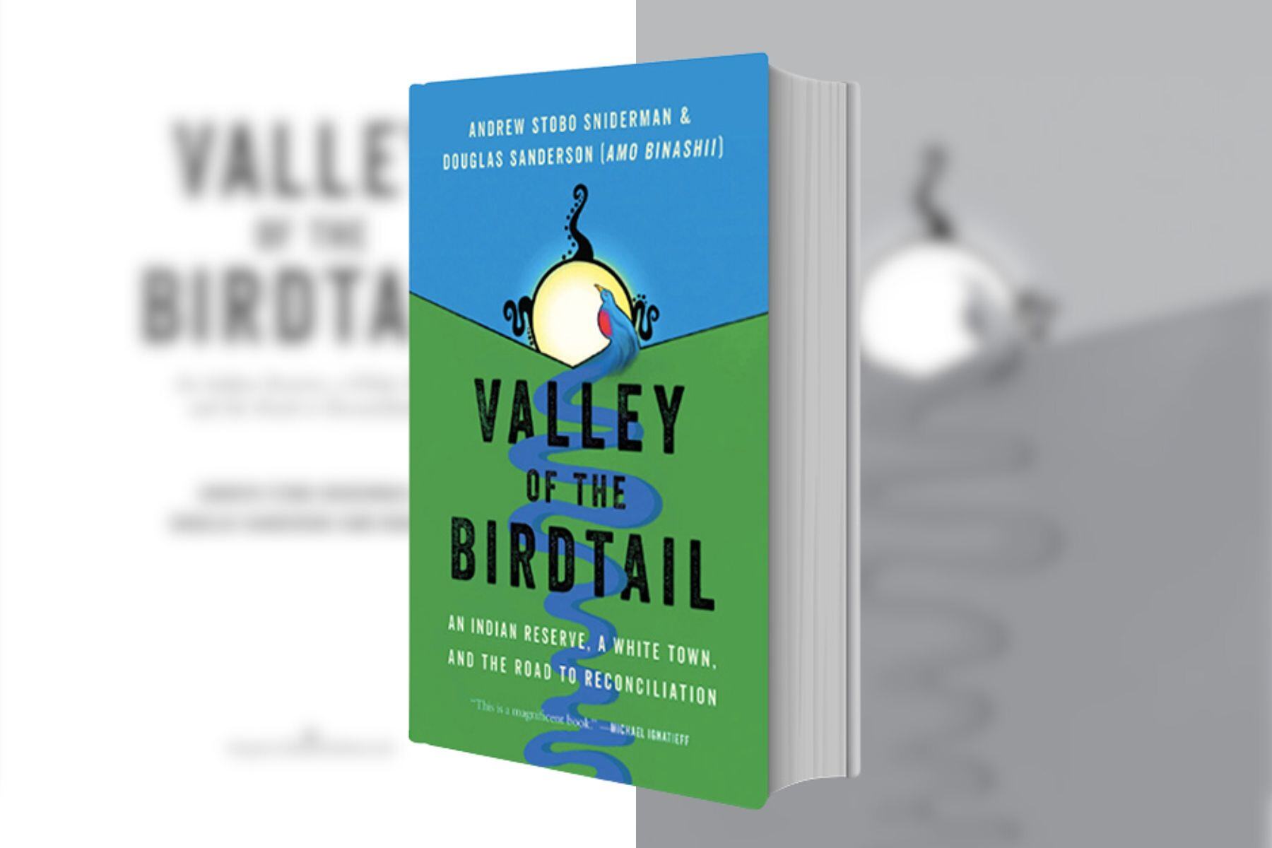 Valley of the Birdtail: A Path to Reconciliation